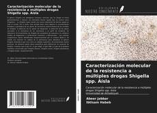 Buchcover von Caracterización molecular de la resistencia a múltiples drogas Shigella spp. Aísla
