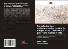 Couverture de Caractérisation moléculaire des isolats de Shigella spp. résistants à plusieurs médicaments