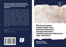 Buchcover von Молекулярная характеристика множественного лекарственного сопротивления Шигелла spp. Изоляты