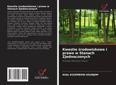 Copertina di Kwestie środowiskowe i prawo w Stanach Zjednoczonych