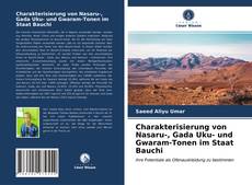 Bookcover of Charakterisierung von Nasaru-, Gada Uku- und Gwaram-Tonen im Staat Bauchi