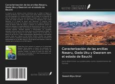 Buchcover von Caracterización de las arcillas Nasaru, Gada Uku y Gwaram en el estado de Bauchi