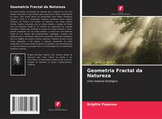 Geometria Fractal da Natureza的封面