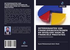 Bookcover of DETERMINANTEN VAN FINANCIERINGSPATRONEN EN GEVOLGEN VOOR DE FINANCIËLE PRESTATIES