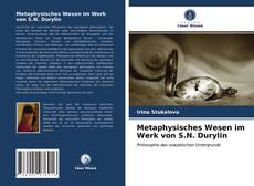 Capa do livro de Metaphysisches Wesen im Werk von S.N. Durylin 