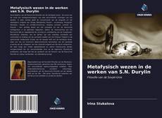 Обложка Metafysisch wezen in de werken van S.N. Durylin