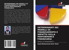 Couverture de DETERMINANTI DEI MODELLI DI FINANZIAMENTO E IMPATTO SULLA PERFORMANCE FINANZIARIA