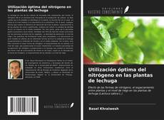 Utilización óptima del nitrógeno en las plantas de lechuga kitap kapağı