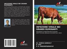 INFEZIONE VIRALE NEI GRANDI RUMINANTI的封面