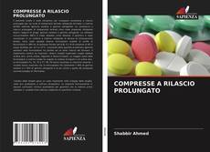 Buchcover von COMPRESSE A RILASCIO PROLUNGATO