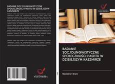 Buchcover von BADANIE SOCJOLINGWISTYCZNE SPOŁECZNOŚCI PASHTU W DZISIEJSZYM KASZMIRZE