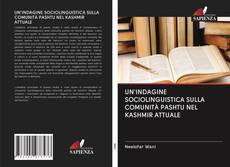 Bookcover of UN'INDAGINE SOCIOLINGUISTICA SULLA COMUNITÀ PASHTU NEL KASHMIR ATTUALE