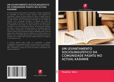 Bookcover of UM LEVANTAMENTO SOCIOLINGUÍSTICO DA COMUNIDADE PASHTU NO ACTUAL KASHMIR