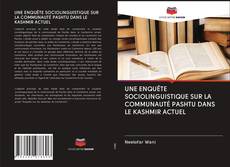 Bookcover of UNE ENQUÊTE SOCIOLINGUISTIQUE SUR LA COMMUNAUTÉ PASHTU DANS LE KASHMIR ACTUEL