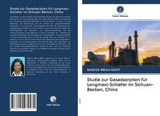 Bookcover of Studie zur Gasadsorption für Longmaxi-Schiefer im Sichuan-Becken, China