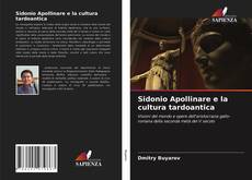 Sidonio Apollinare e la cultura tardoantica kitap kapağı