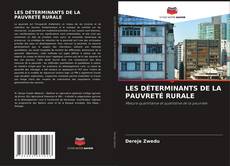 Buchcover von LES DÉTERMINANTS DE LA PAUVRETÉ RURALE