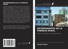 Bookcover of DETERMINANTES DE LA POBREZA RURAL