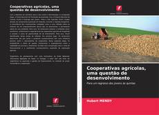 Cooperativas agrícolas, uma questão de desenvolvimento kitap kapağı