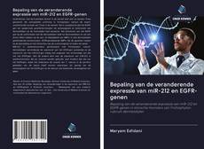 Bepaling van de veranderende expressie van miR-212 en EGFR-genen的封面