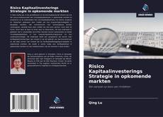 Buchcover von Risico Kapitaalinvesterings Strategie in opkomende markten
