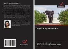 Buchcover von Afryka w jej meandrach