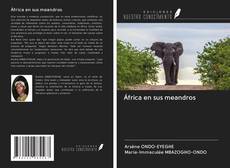 Buchcover von África en sus meandros