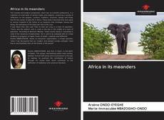 Africa in its meanders kitap kapağı
