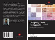 Pollination of cashew trees(Spondias mombin, Anacardiaceae) kitap kapağı
