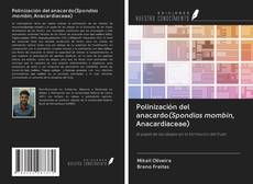 Polinización del anacardo(Spondias mombin, Anacardiaceae) kitap kapağı
