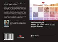 Pollinisation des anacardiers(Spondias mombin, Anacardiaceae) kitap kapağı