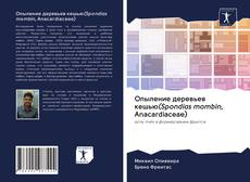 Опыление деревьев кешью(Spondias mombin, Anacardiaceae) kitap kapağı