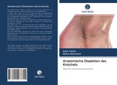 Обложка Anatomische Dissektion des Knöchels