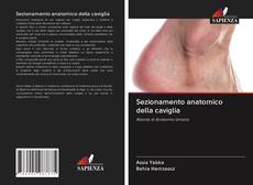 Buchcover von Sezionamento anatomico della caviglia
