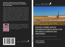 Copertina di ESTUDIO SOBRE SUELOS EXPANSIVOS MEZCLADOS CON UN SUELO COHESIVO NO HINCHABLE