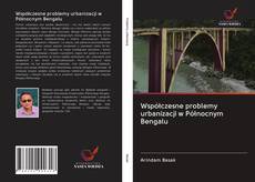Buchcover von Współczesne problemy urbanizacji w Północnym Bengalu