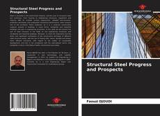 Structural Steel Progress and Prospects kitap kapağı