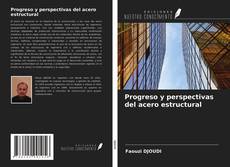 Copertina di Progreso y perspectivas del acero estructural