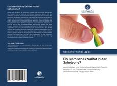 Capa do livro de Ein islamisches Kalifat in der Sahelzone? 