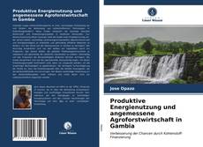 Bookcover of Produktive Energienutzung und angemessene Agroforstwirtschaft in Gambia