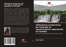 Utilisations productives de l'énergie et agroforesterie appropriée en Gambie kitap kapağı