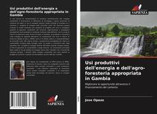 Usi produttivi dell'energia e dell'agro-foresteria appropriata in Gambia的封面