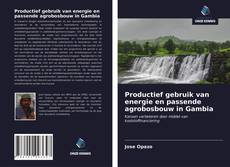 Bookcover of Productief gebruik van energie en passende agrobosbouw in Gambia