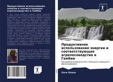 Borítókép a  Продуктивное использование энергии и соответствующее агролесоводство в Гамбии - hoz