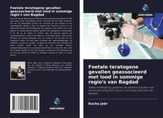 Buchcover von Foetale teratogene gevallen geassocieerd met lood in sommige regio's van Bagdad
