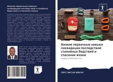 Copertina di Низкие первичные навыки ликвидации последствий стихийных бедствий и спасения жизни