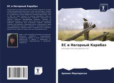 ЕС и Нагорный Карабах的封面