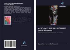 Обложка AFRO-LATIJNS-AMERIKAANSE WANDELINGEN