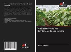 Buchcover von Geo-serricoltura nel territorio delle oasi tunisine