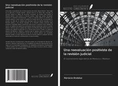 Bookcover of Una reevaluación positivista de la revisión judicial